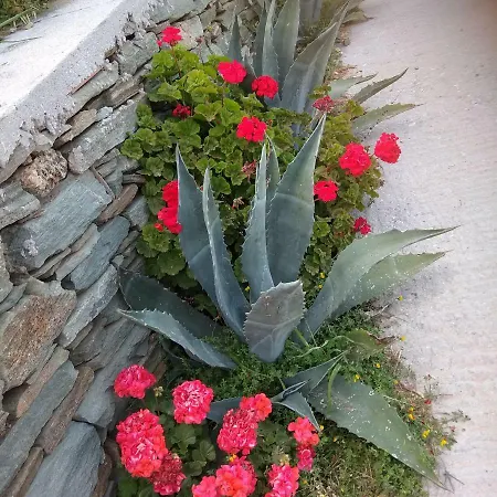 Alloggio in famiglia Ateni Gavrio