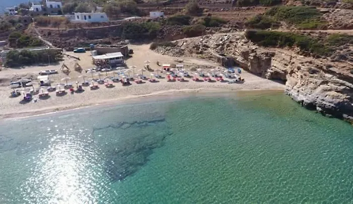 Проживание в семье Ateni