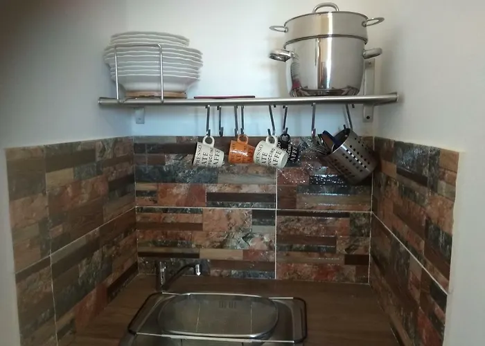 Проживание в семье Ateni *