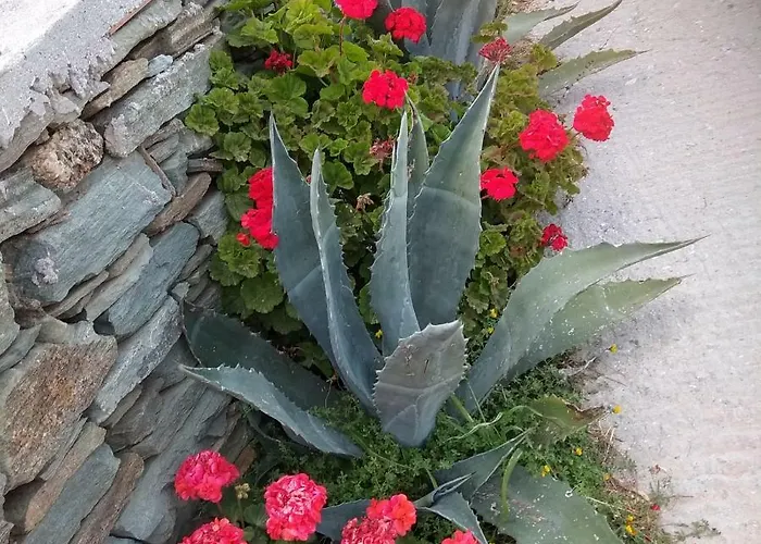 Проживание в семье Ateni Гаврион